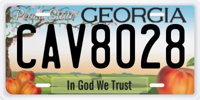 GA license plate CAV8028