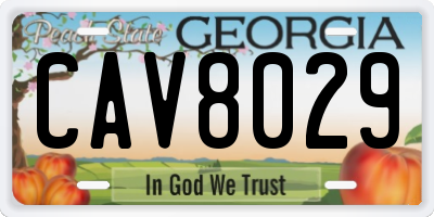 GA license plate CAV8029