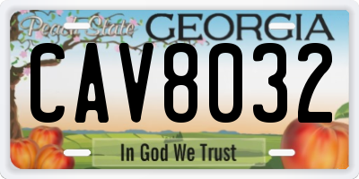 GA license plate CAV8032