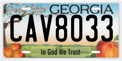 GA license plate CAV8033