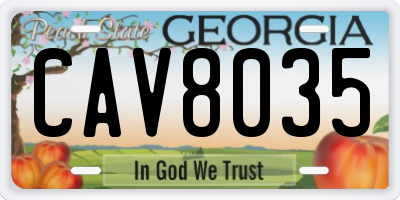 GA license plate CAV8035