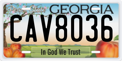 GA license plate CAV8036