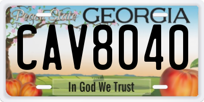 GA license plate CAV8040