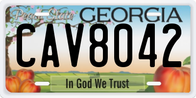 GA license plate CAV8042