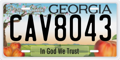 GA license plate CAV8043