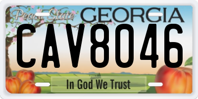 GA license plate CAV8046