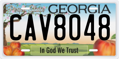 GA license plate CAV8048