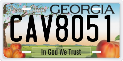 GA license plate CAV8051