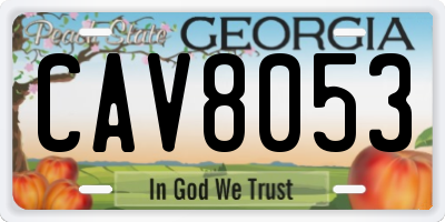 GA license plate CAV8053