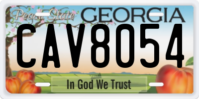 GA license plate CAV8054