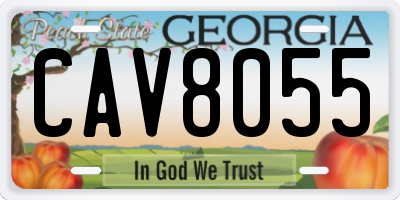 GA license plate CAV8055