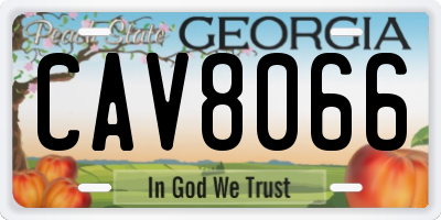 GA license plate CAV8066