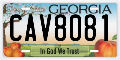 GA license plate CAV8081