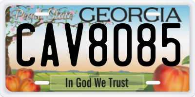 GA license plate CAV8085