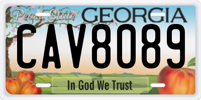 GA license plate CAV8089