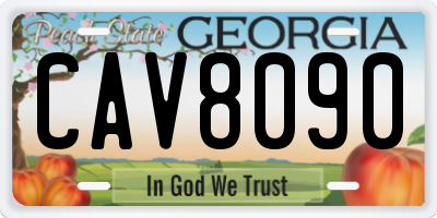 GA license plate CAV8090