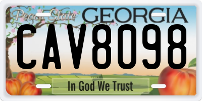 GA license plate CAV8098