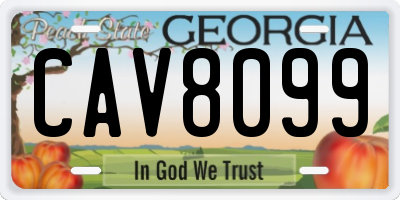 GA license plate CAV8099