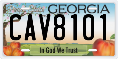 GA license plate CAV8101