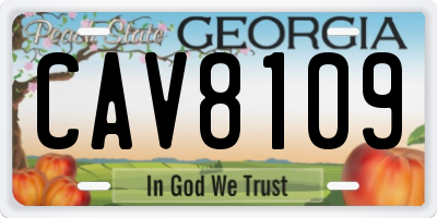 GA license plate CAV8109