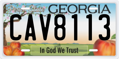 GA license plate CAV8113