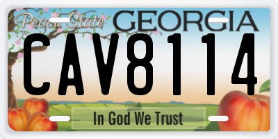 GA license plate CAV8114