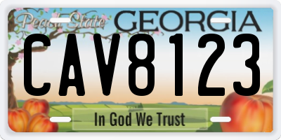 GA license plate CAV8123