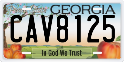 GA license plate CAV8125