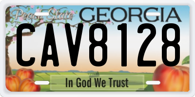 GA license plate CAV8128