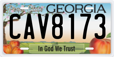 GA license plate CAV8173