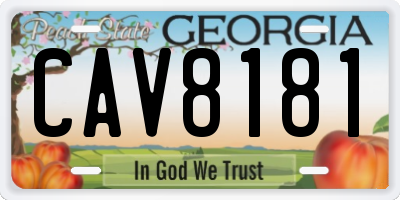 GA license plate CAV8181