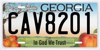 GA license plate CAV8201