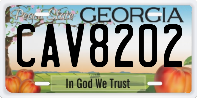 GA license plate CAV8202