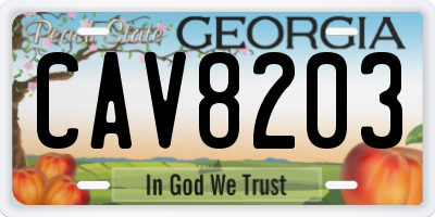 GA license plate CAV8203