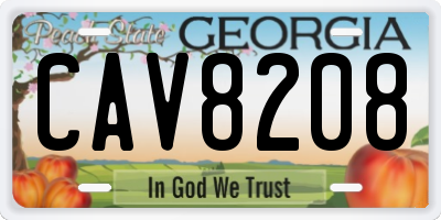 GA license plate CAV8208