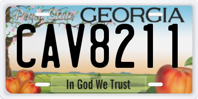 GA license plate CAV8211