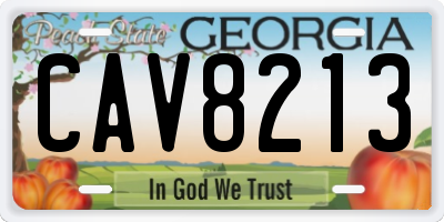GA license plate CAV8213
