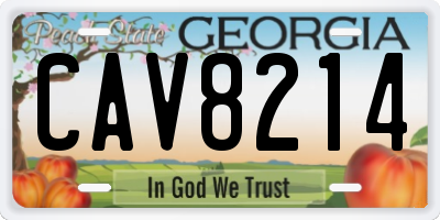 GA license plate CAV8214