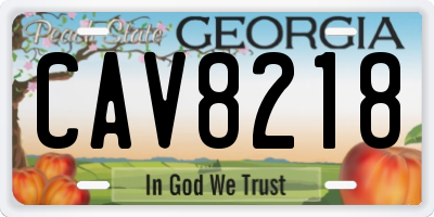 GA license plate CAV8218