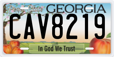 GA license plate CAV8219