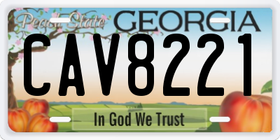 GA license plate CAV8221