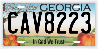 GA license plate CAV8223