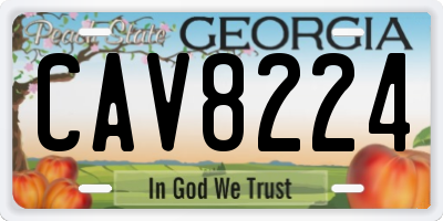 GA license plate CAV8224