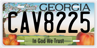 GA license plate CAV8225