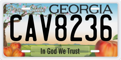 GA license plate CAV8236