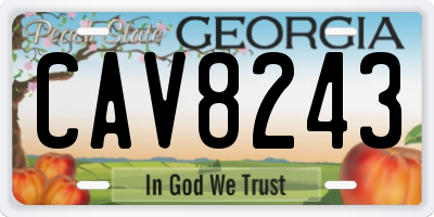 GA license plate CAV8243