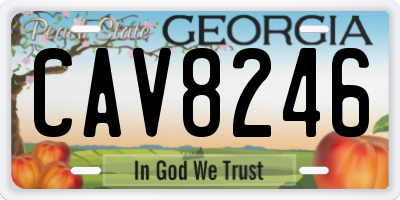 GA license plate CAV8246