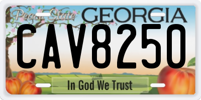 GA license plate CAV8250