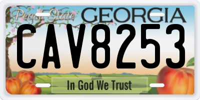 GA license plate CAV8253