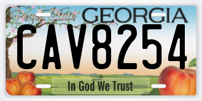 GA license plate CAV8254